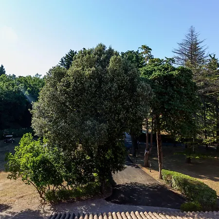 Palazzo Vittoria Hotel